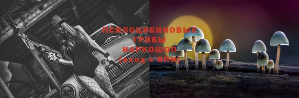 каннабис Карпинск
