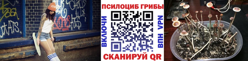 Галлюциногенные грибы Magic Shrooms  купить  цена  Нерехта 